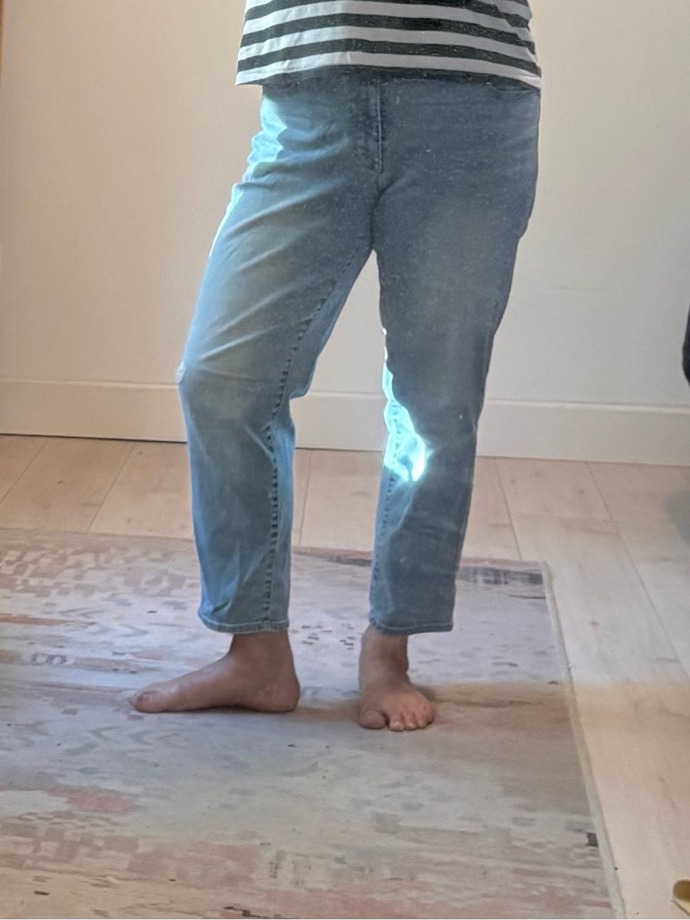 Talbots Light Blue Ankle Jeans
